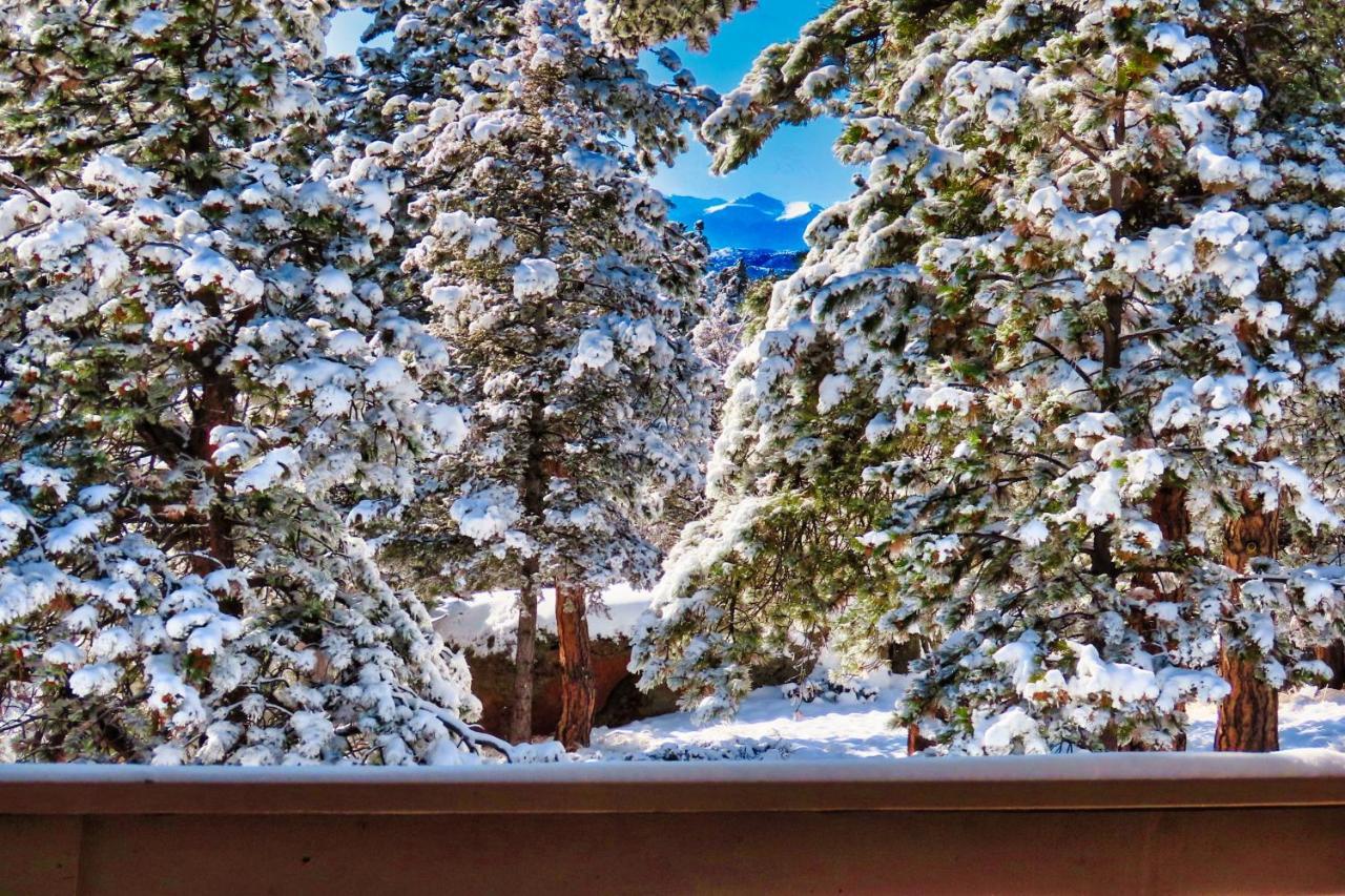 Pine Ridge - Memories Are Made Here! Florissant Экстерьер фото