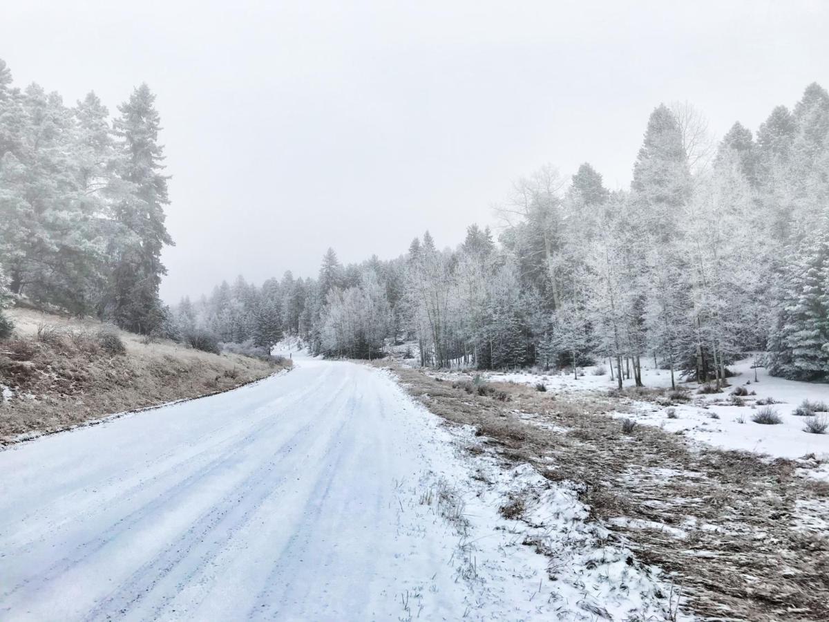 Pine Ridge - Memories Are Made Here! Florissant Экстерьер фото
